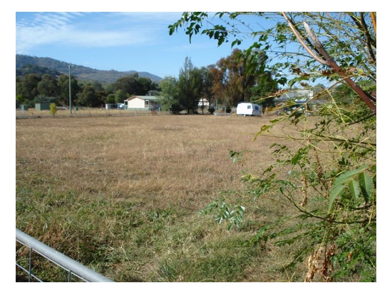 41 Nundle Road, Woolomin NSW 2340