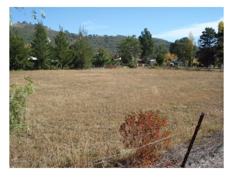 41 Nundle Road, Woolomin NSW 2340