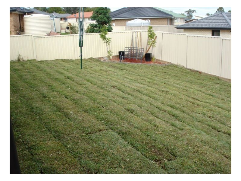 35 Panorama Road, Calala NSW 2340
