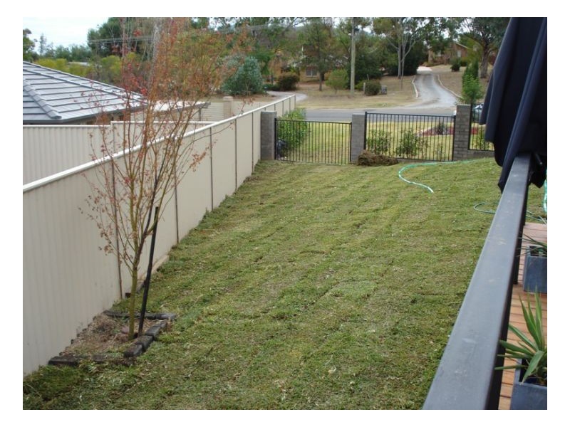 35 Panorama Road, Calala NSW 2340