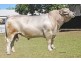 169 Smiths Lane, Numbaa NSW 2540