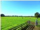 169 Smiths Lane, Numbaa NSW 2540