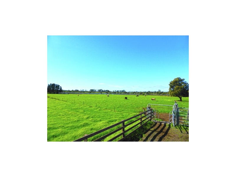 169 Smiths Lane, Numbaa NSW 2540