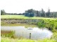169 Smiths Lane, Numbaa NSW 2540