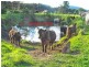 169 Smiths Lane, Numbaa NSW 2540