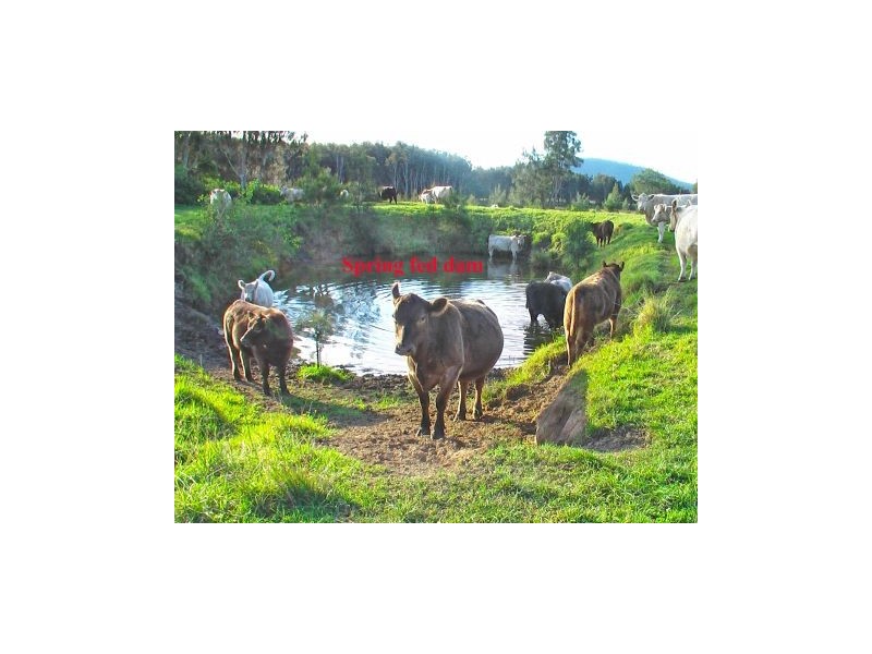 169 Smiths Lane, Numbaa NSW 2540