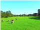 169 Smiths Lane, Numbaa NSW 2540