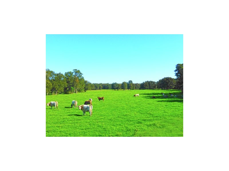 169 Smiths Lane, Numbaa NSW 2540