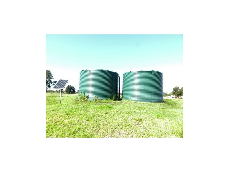 169 Smiths Lane, Numbaa NSW 2540