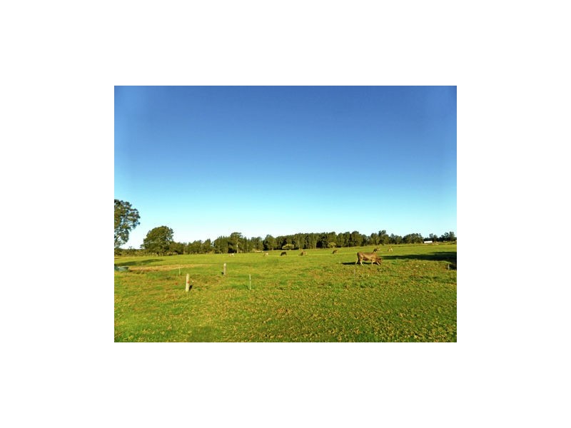 169 Smiths Lane, Numbaa NSW 2540