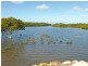 169 Smiths Lane, Numbaa NSW 2540