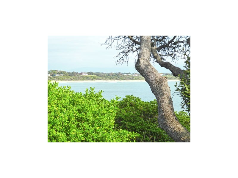 232 Penguins Head Road, Culburra Beach NSW 2540