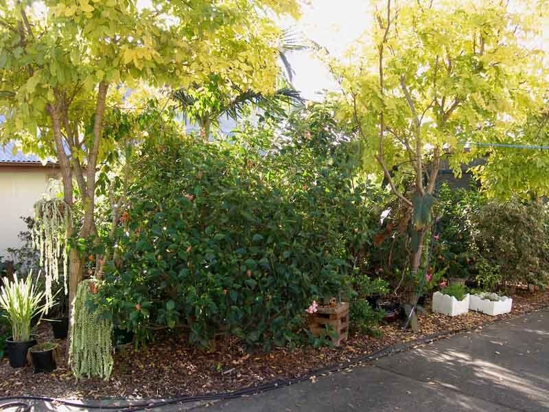 70 Orama Crescent, Orient Point NSW 2540