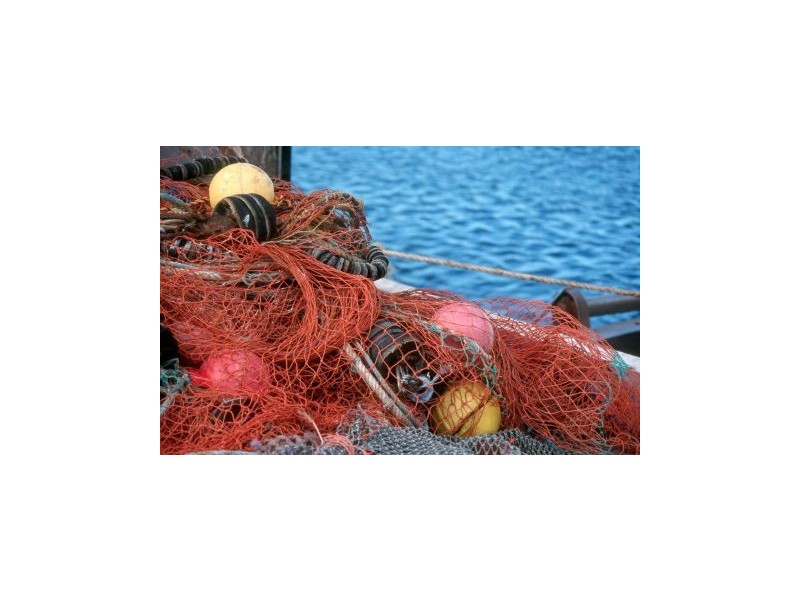 39 Jervis Street, Greenwell Point NSW 2540