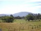 12 Bindaree Street, Greenwell Point NSW 2540