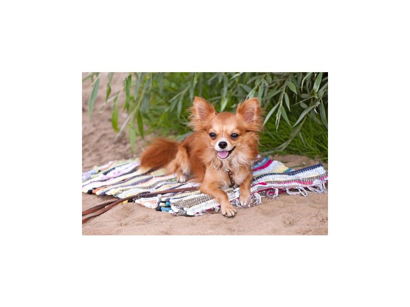 28 Haiser Road, Greenwell Point NSW 2540