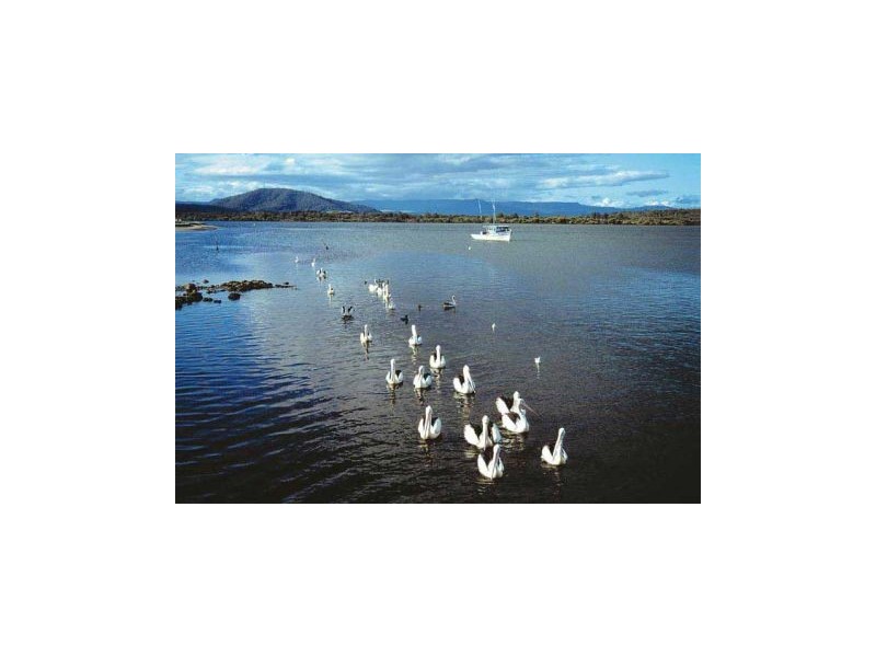 28 Haiser Road, Greenwell Point NSW 2540