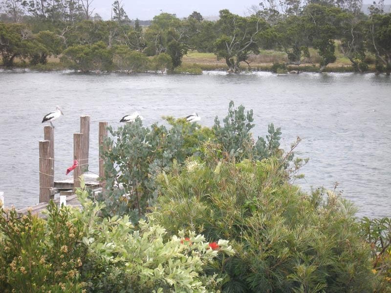 21 Adelaide Street, Greenwell Point NSW 2540