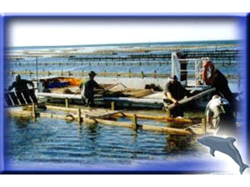 Lot 14 Crookhaven Oyster Farm, Greenwell Point NSW 2540