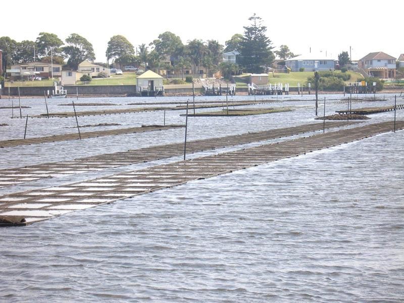 Lot 14 Crookhaven Oyster Farm, Greenwell Point NSW 2540