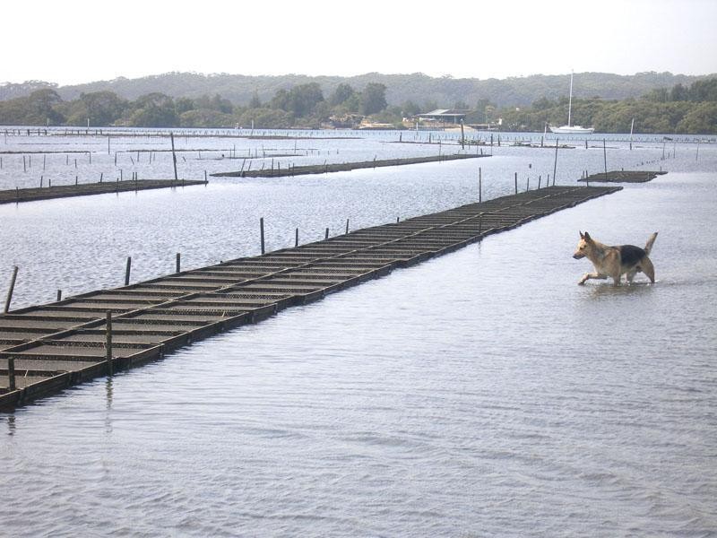 Lot 14 Crookhaven Oyster Farm, Greenwell Point NSW 2540