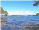 59 Osterley Avenue, Orient Point NSW 2540