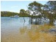 59 Osterley Avenue, Orient Point NSW 2540