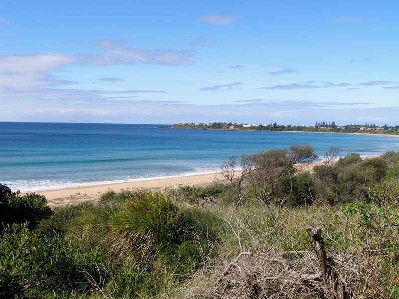 99 Prince Edward Avenue, Culburra Beach NSW 2540