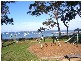 1c Morton Street, Callala Bay NSW 2540