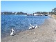 Greenwell Point NSW 2540