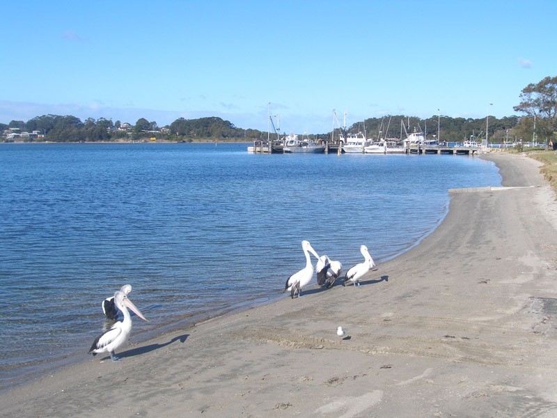 Greenwell Point NSW 2540