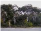3 Caffery Circuit, Callala Beach NSW 2540