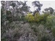 3 Caffery Circuit, Callala Beach NSW 2540