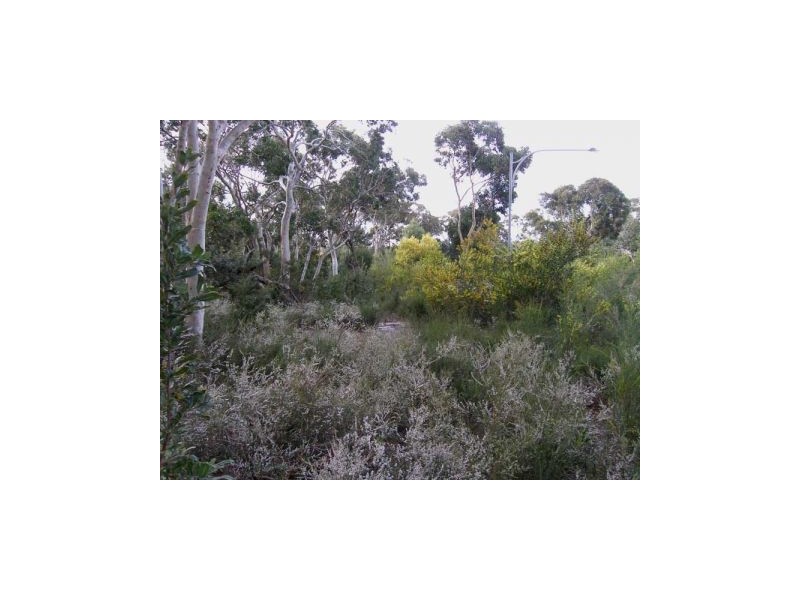 3 Caffery Circuit, Callala Beach NSW 2540