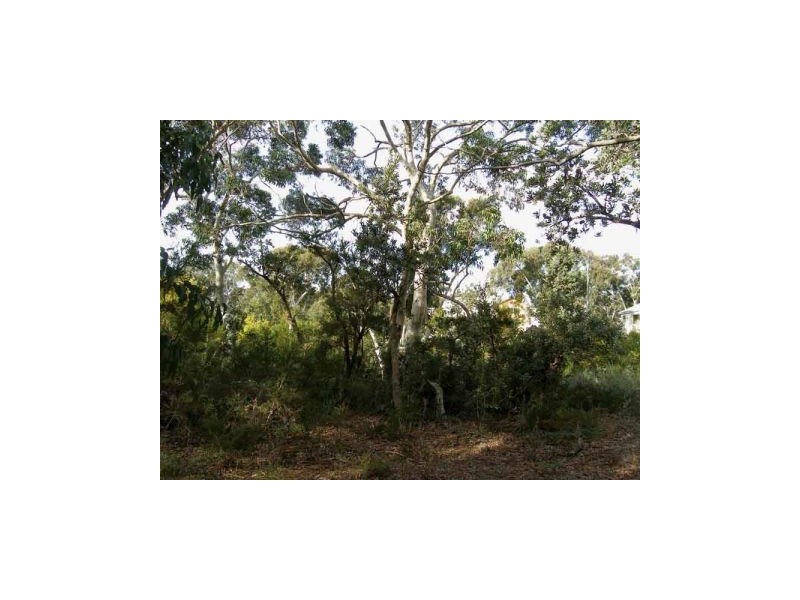 3 Caffery Circuit, Callala Beach NSW 2540