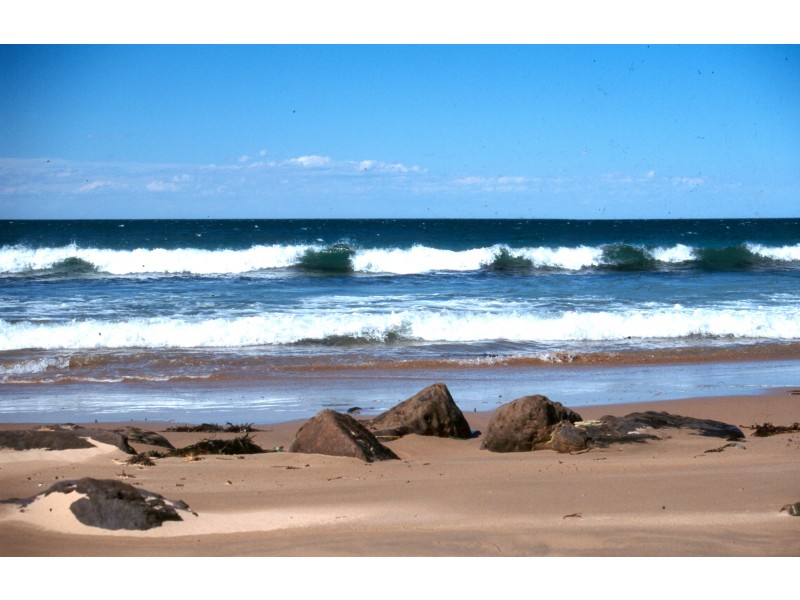 Culburra Beach NSW 2540