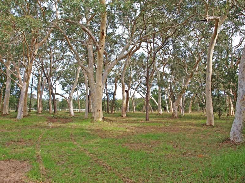 45 Bingarra Lane, Bangalee NSW 2541