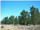 Lot 3 Welcome Reef Road, Tomboye NSW 2622