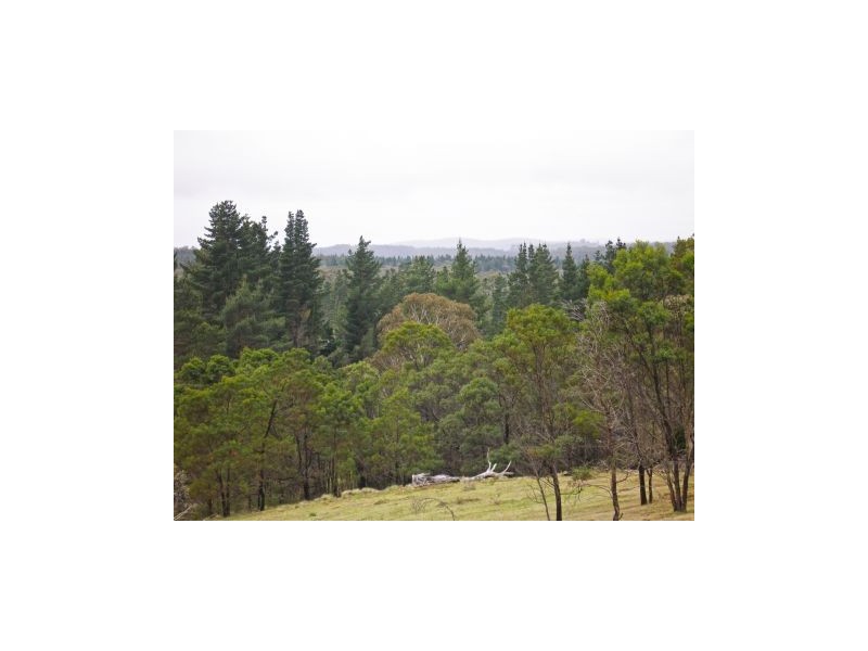 Lot 3 Welcome Reef Road, Tomboye NSW 2622