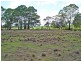 Lot 3 Welcome Reef Road, Tomboye NSW 2622