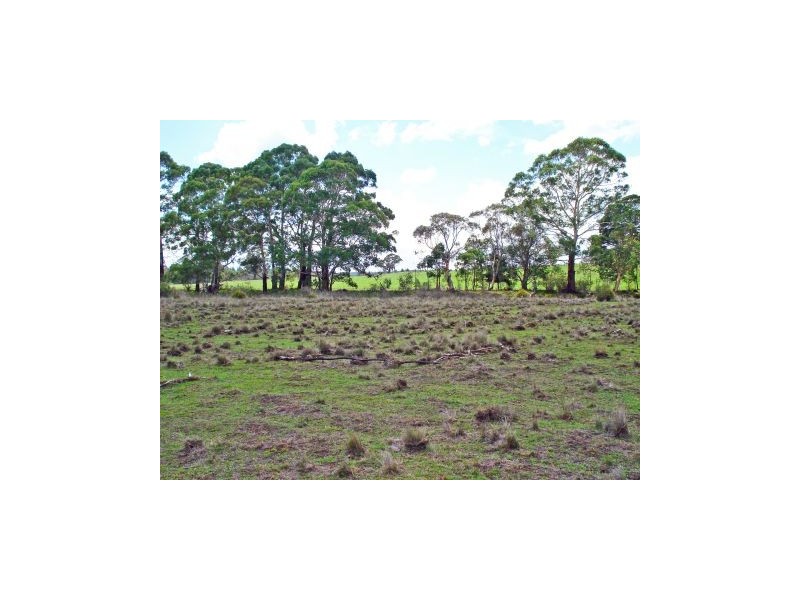 Lot 3 Welcome Reef Road, Tomboye NSW 2622