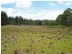 Lot 3 Welcome Reef Road, Tomboye NSW 2622