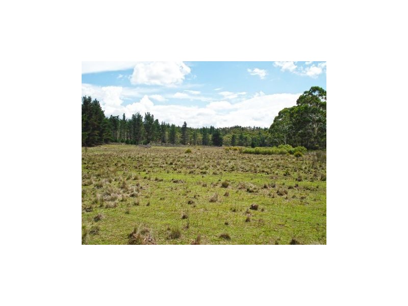 Lot 3 Welcome Reef Road, Tomboye NSW 2622