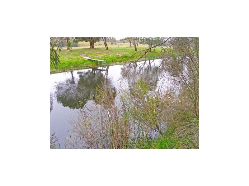 Lot 3 Welcome Reef Road, Tomboye NSW 2622