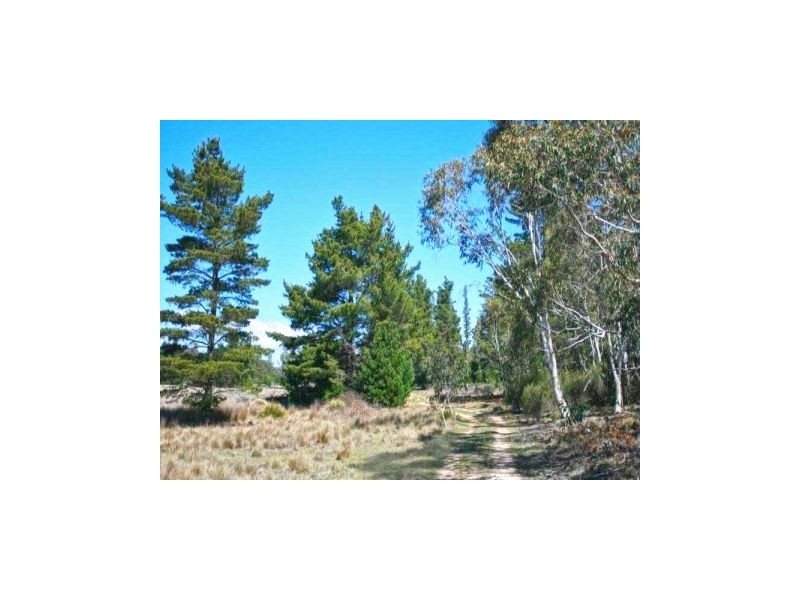 Lot 3 Welcome Reef Road, Tomboye NSW 2622