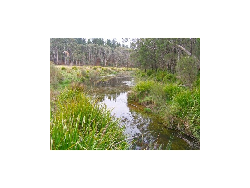Lot 3 Welcome Reef Road, Tomboye NSW 2622