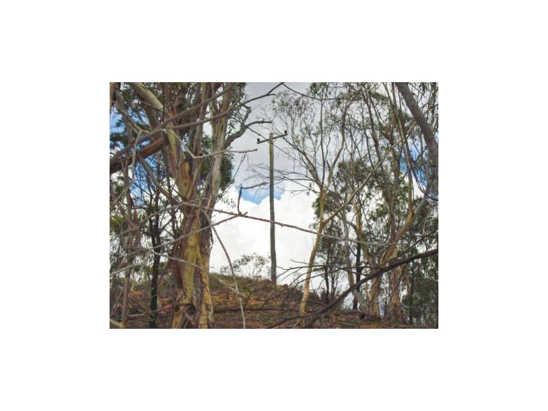 Lot 3 Welcome Reef Road, Tomboye NSW 2622