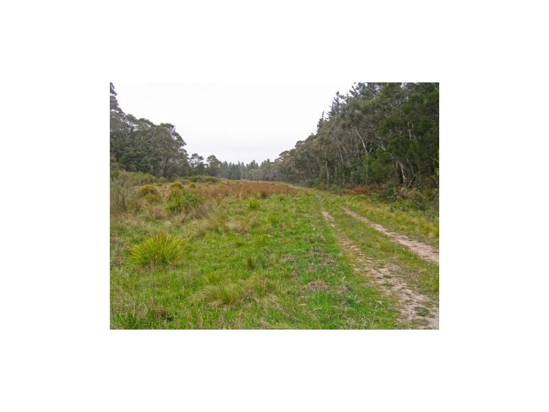 Lot 3 Welcome Reef Road, Tomboye NSW 2622