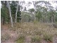 Lot 3 Welcome Reef Road, Tomboye NSW 2622