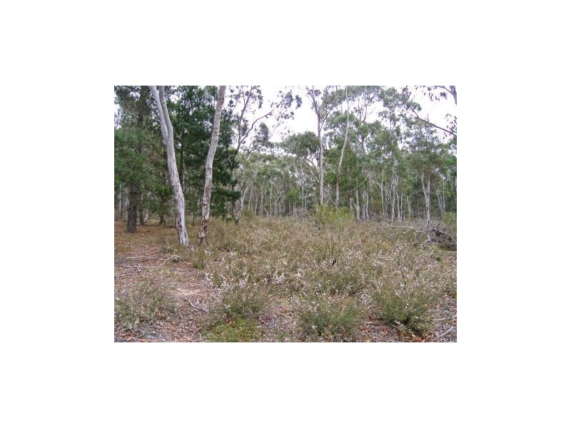 Lot 3 Welcome Reef Road, Tomboye NSW 2622